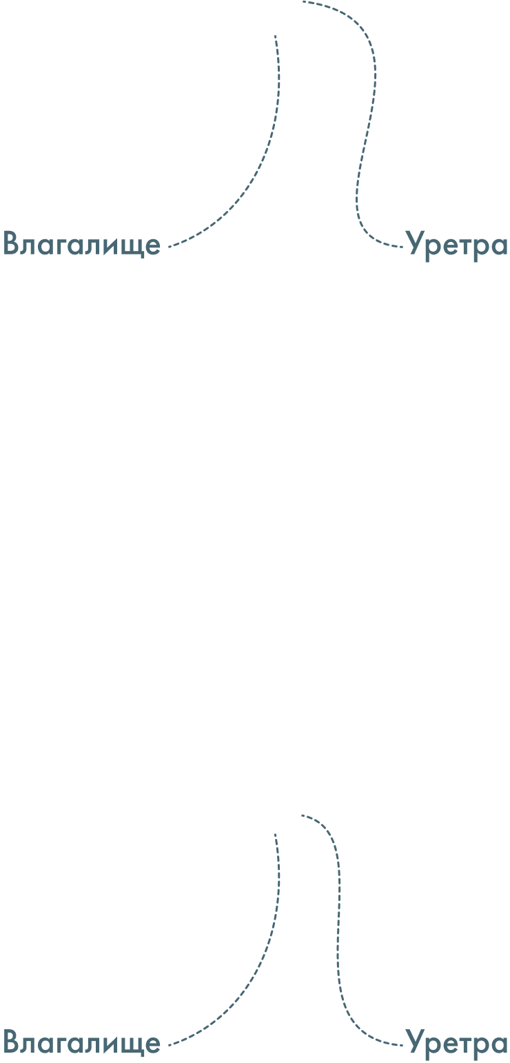 labels